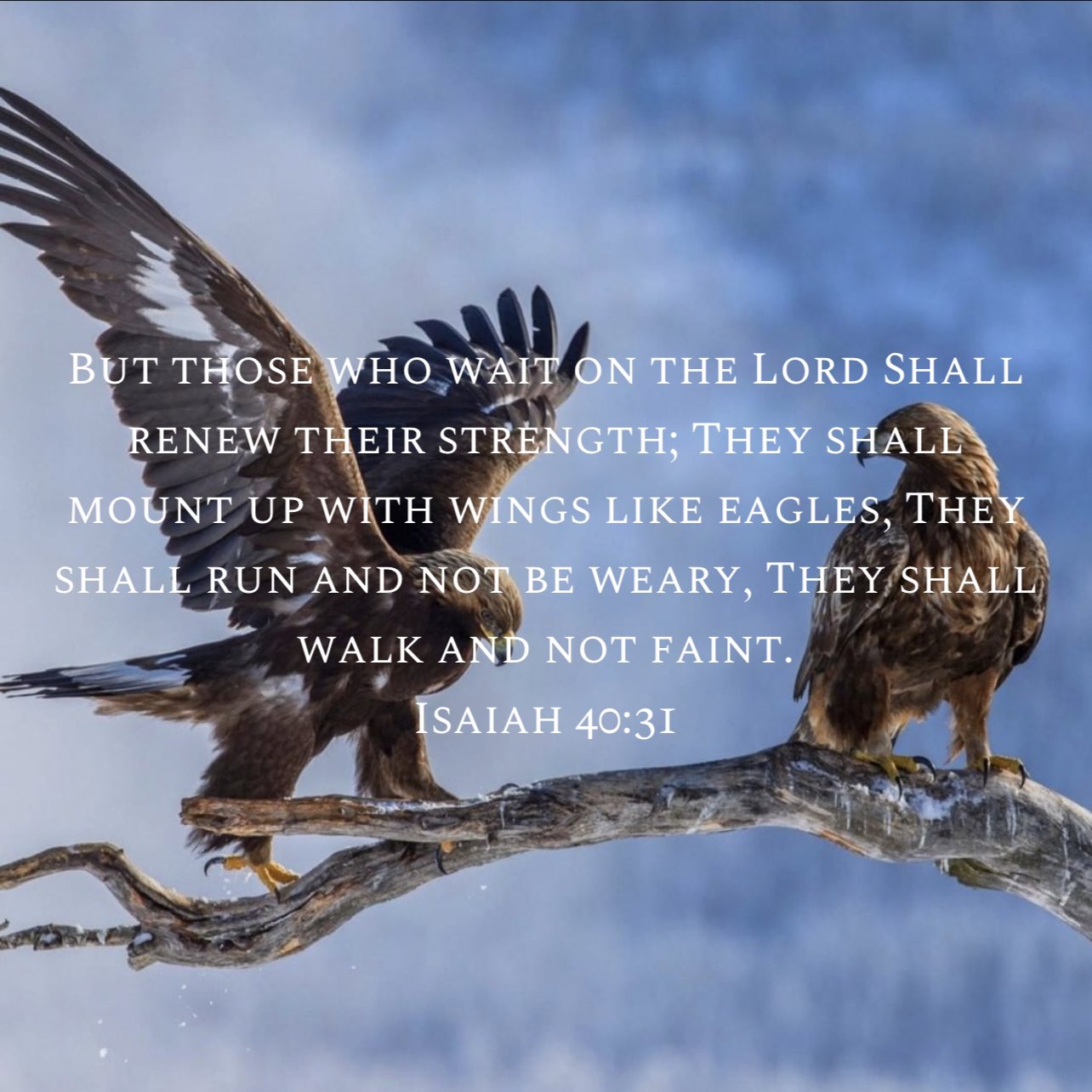 BUT THOSE WHO WAIT ON THE LORD SHALL RENEW THEIR STRENGTH; THEY SHALL MOUNT UP WITH WINGS LIKE EAGLES THE SHALL RUN AND NOT BE WEARY, THEY SHALL WALK AND NOT FAINT- ISAIAH 40.31
