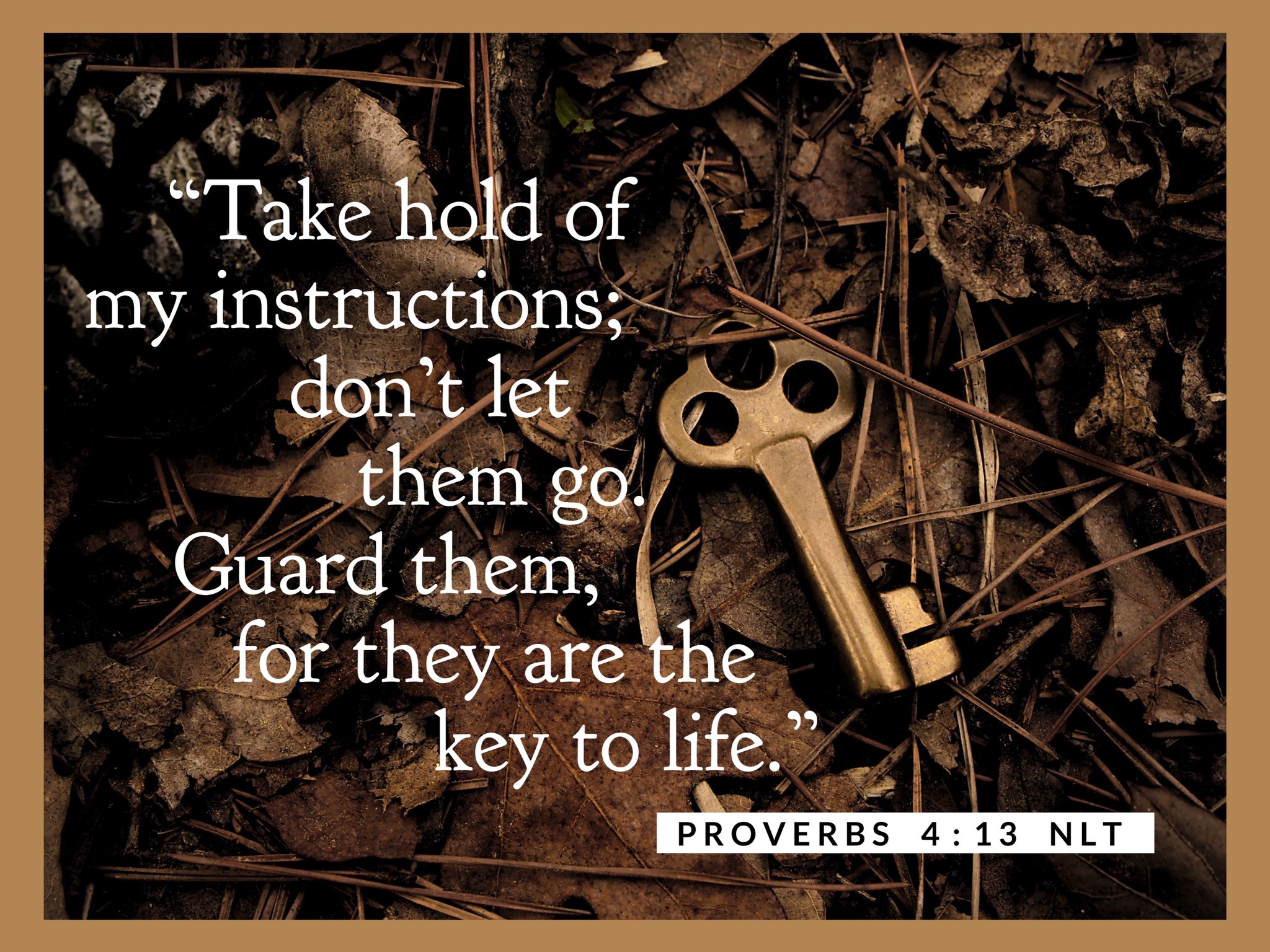 Take hold of my instructions; don t let them go_ Guard them for are the to life PROVERBS 4 : 13 NLT they key