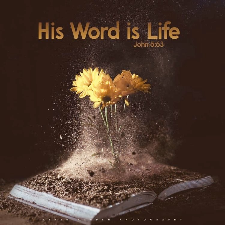His Word is Life John 6.63
