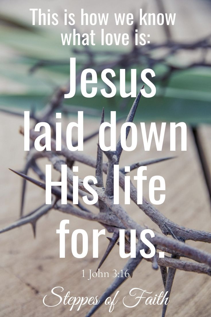 This is how we know what love is: Jesus laid down His life foruS 1 John 3.16 Steppes %k taith