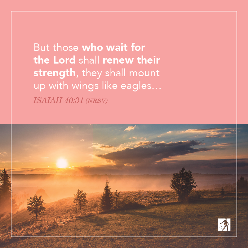 But those who wait for the Lord shall renew their strength; they shall mount up with wings like eagles: ISAIAH 40.31 (NRSV)
