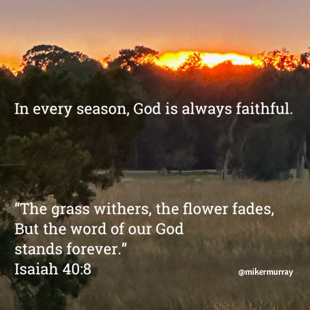 In every season; God is always faithful. 'The grass withers, the flower fades, But the word of our God stands forever.' Isaiah 40.8 @mikermurray