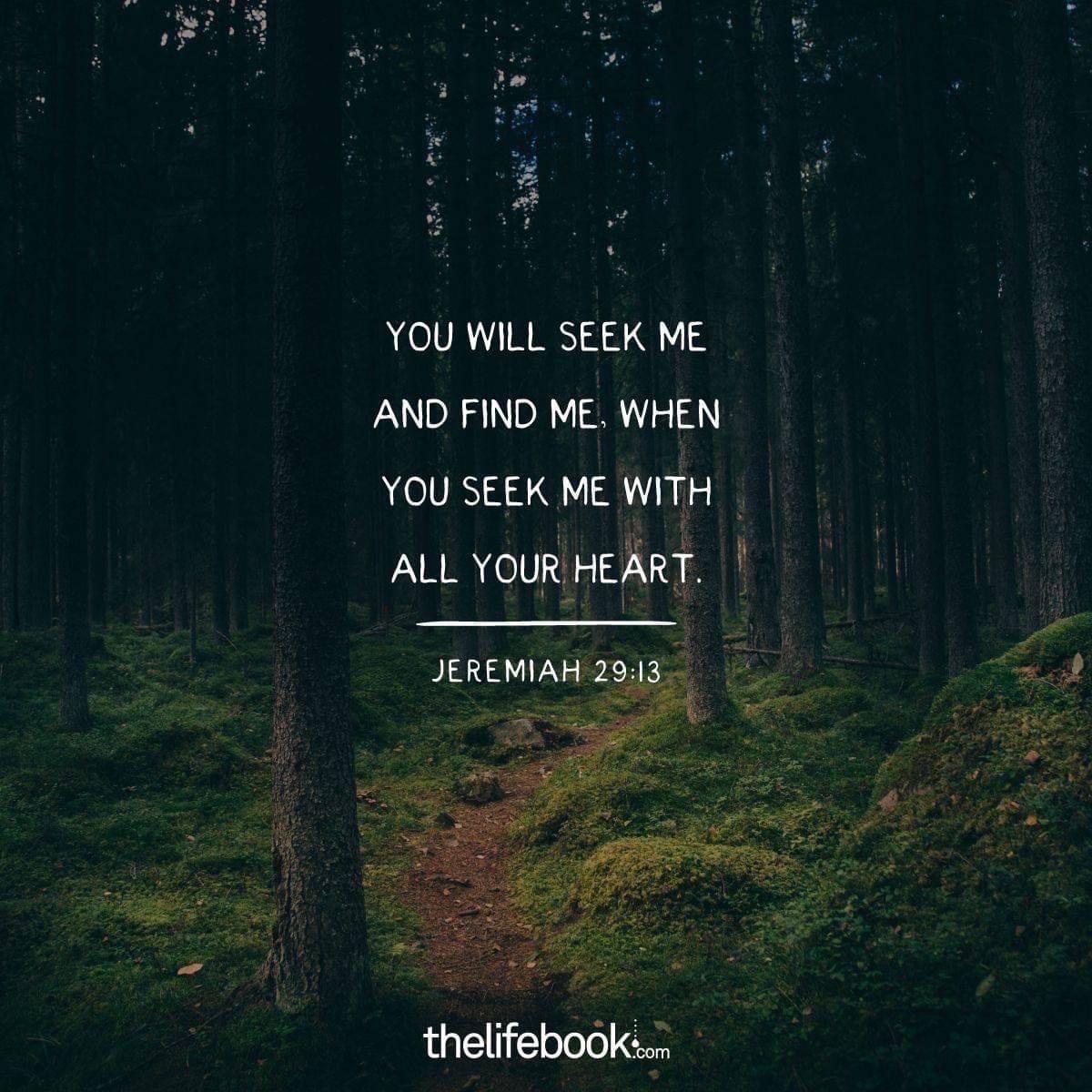 'YOU WILL SEEK ME AND FIND ME, WHEN YOU SEEK ΜΕ WITH ALL YOUR AL HEART. JEREMIAH 29:13 thelifebook.com'