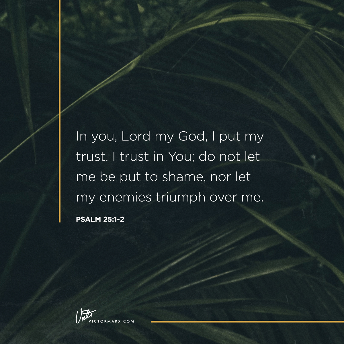 'In you, Lord my God, put my trust. trust in You; do not let me be put to shame, nor let my enemies triumph over me. PSALM 25:1-2 VItTTORMARX.COM Vitr VICTORMARX COM'