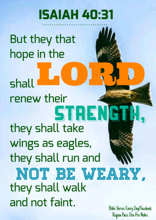 ISAIAH 40.31 But that hope in the shall L0RRD renew their StrENGTH; shall take wings as eagles, shall run and NOT BE WEARY shall walk and not faint. Buk Verys DyylFstook Ryina Pscis Ora Pro Nobis they thev they they sEurj