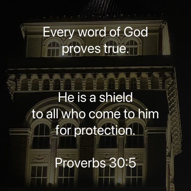 Every word of God proves true He is a shield to all who come to him for protection Proverbs 30.5