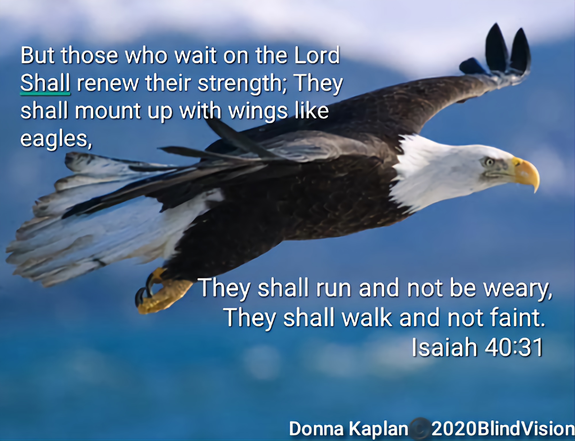 But those who wait on the Lord Shall renew their strength; shall mount up with wings like eagles, They shall run and not be weary; shall walk and not faint: Isaiah 40.31 Donna Kaplan 202OBlindVision They They