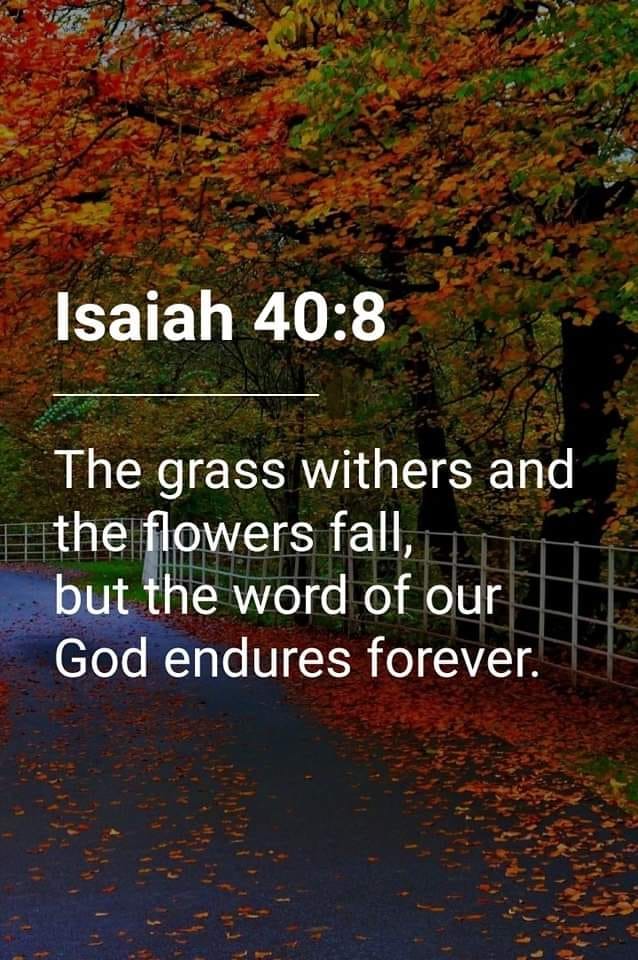 Isaiah 40.8 The grass withers and the flowers fall; but the word of our God endures forever