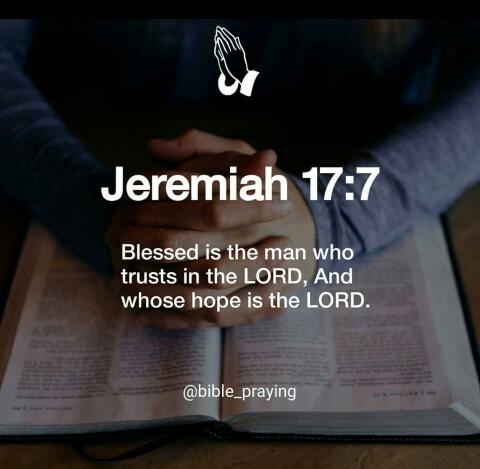 Jeremiah 17:7 Blessed is the man who trusts in the LORD, And whose hope is the LORD @bible_praying