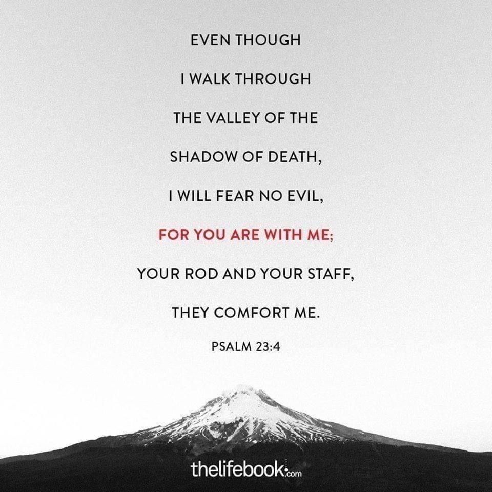 'EVENTHOUGH THOUGH I WALK THROUGH THE VALLEY OF THE SHADOW OF DEATH, I WILL FEAR NO EVIL, FOR YOU ARE WITH ME; YOUR ROD AND YOUR STAFF, THEY COMFORT ME. PSALM 23:4 thelifebook.com'