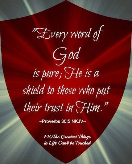 word &f God is pure; SHe is a shield to those who their trust in SHHim. ~Proverbs 30.5 NKJV~ FB /lhe Gweatest" inLife Cant be Touched "Every put Things
