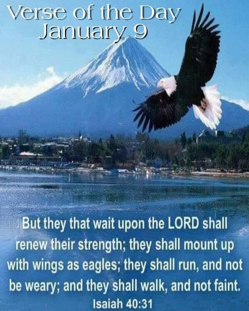 Verse of the Day Jziriuairy 9 But they that wait upon the LORD shall renew their strength; shall mount up with as eagles; they shall run; and not be weary; and they shall walk; and not faint; Isaiah 40.31 they " wings'