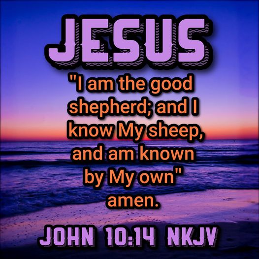 JesuS "lamthegood shepherd;andl knowMysheep; and am known by My own amen: JOhN 10:14 NKJV