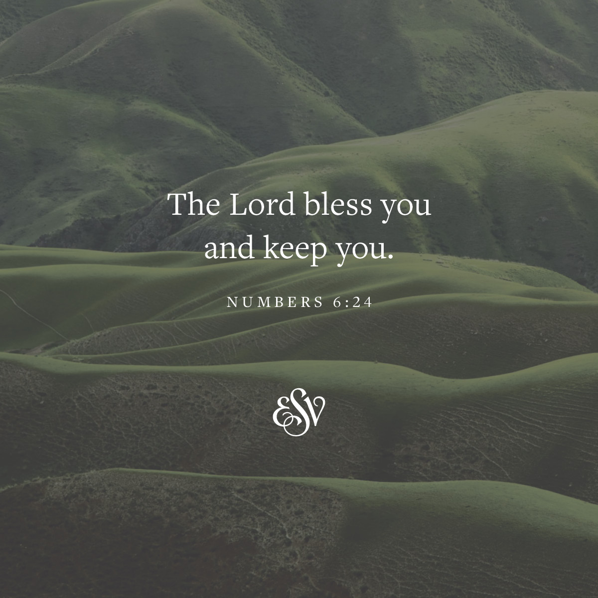 'The Lord bless you and keep you. NUMBERS 6:24 Sp'