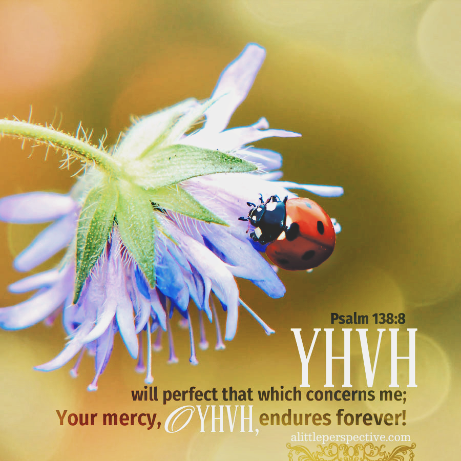 Psalm 138.8  VHVH will perfect that which concerns me; Your mercy, OVHVH endures foreveri alittleperspective com