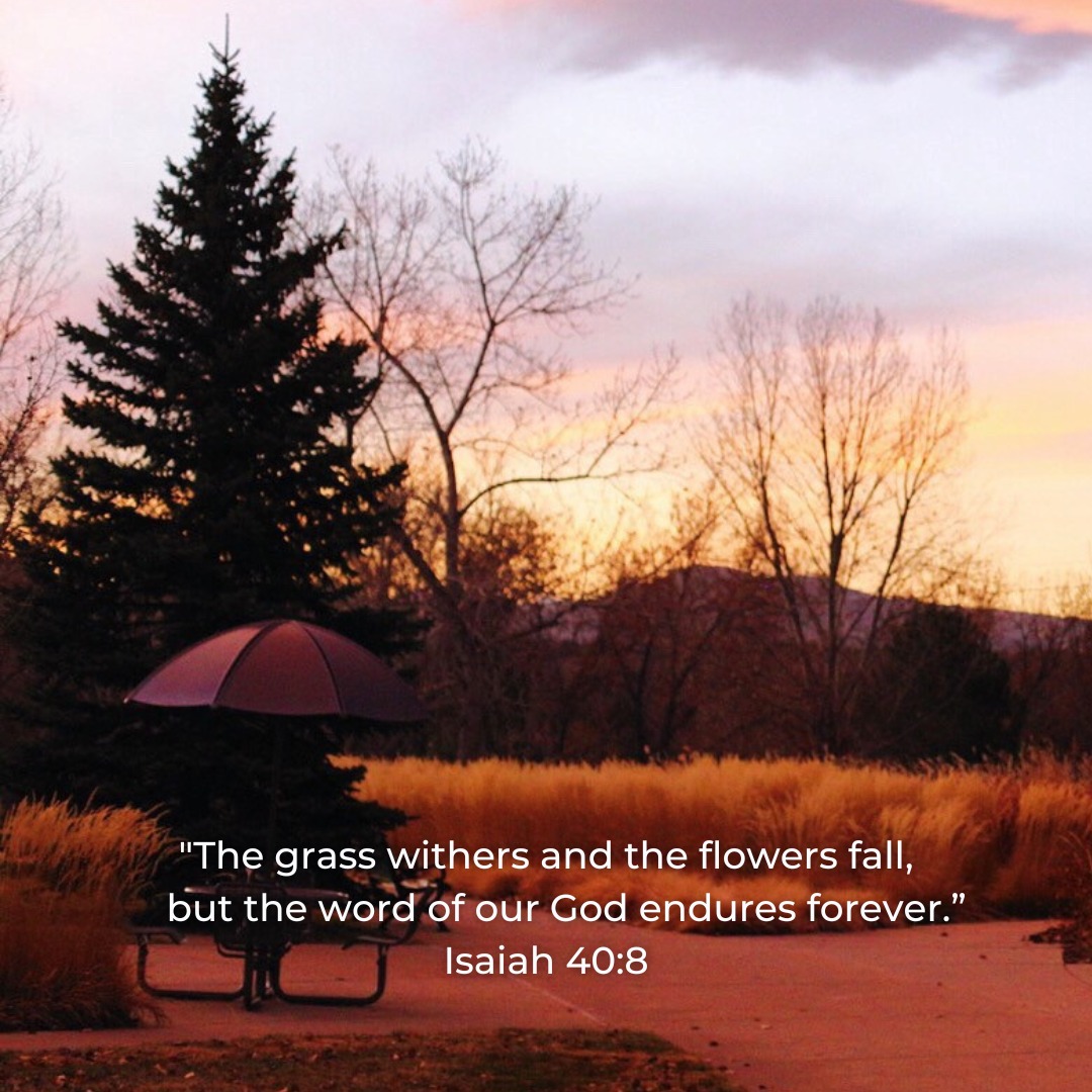 '"The grass withers and the flowers fall, the buttve word of our God endures forever." Isaiah 40:8'