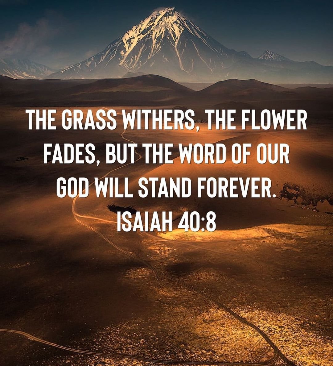 THE GRASS WITHERS, THE FLOWER FADES, BUT THE WORD OF OUR GOD WILL STAND FOREVER: ISAIAH 40;8