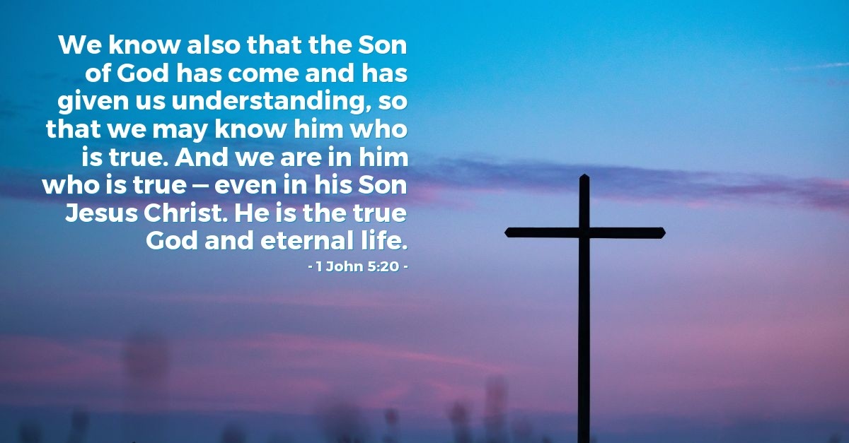 We know also that the Son of God has come and has given us understanding; so that we may know him who is true: And we are in him who is true even in his Son Jesus Christ: Heis the true God and eternal life: John 5*20