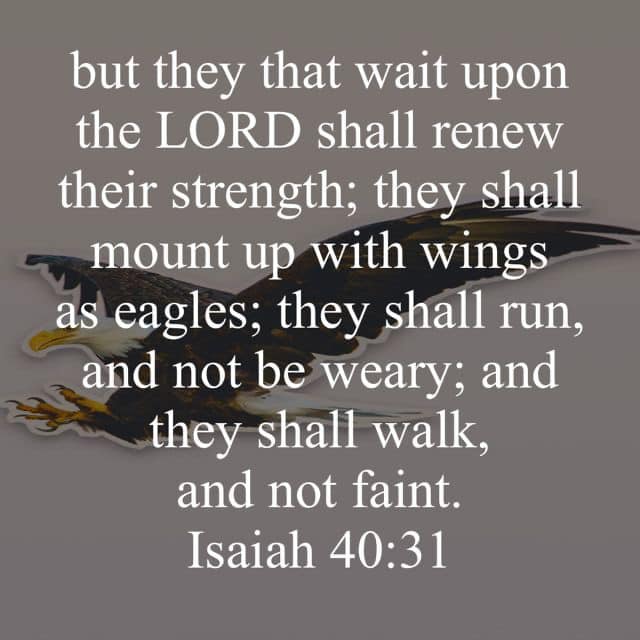 but that wait upon the LORD shall renew their strength; shall mount up with as eagles; shall and not be weary; and shall walk, and not faint. Isaiah 40.31 they they wings they run, they