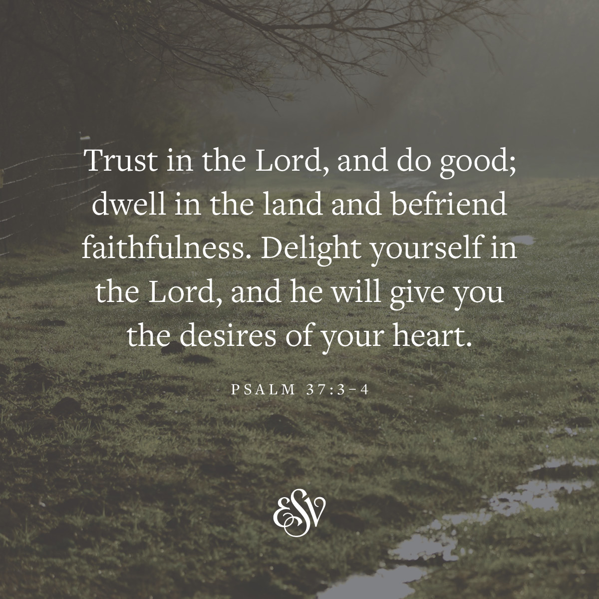 'dwell Trust in the Lord, and do good; in the the land and befriend faithfulness. Delight yourself in the Lord and he will give you the desires of your heart. PSALM 37:3-4'