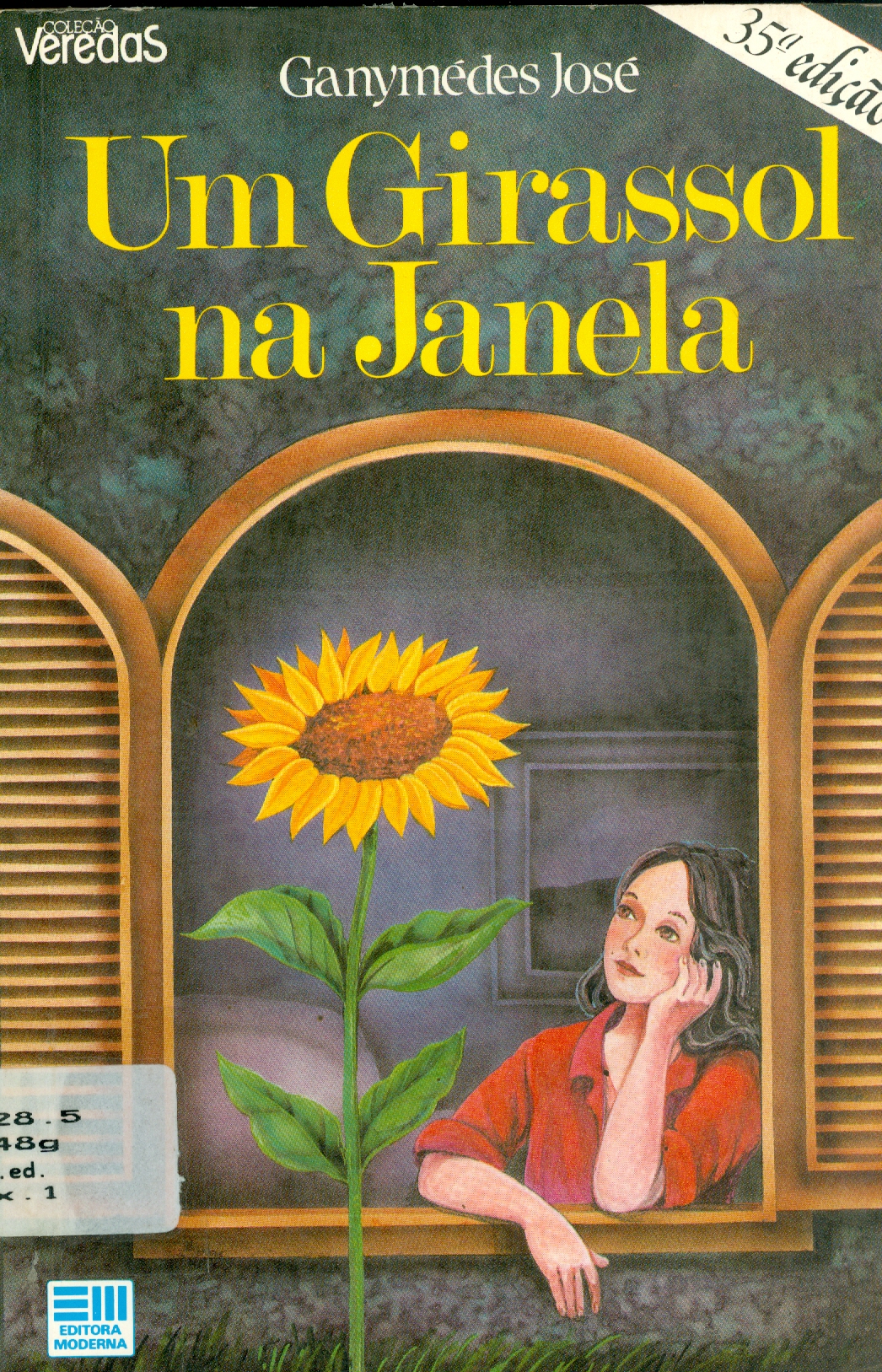 UM GIRASSOL NA JANELA