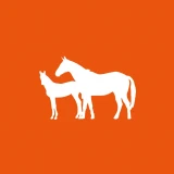 Bidbit
