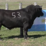Imagen lote