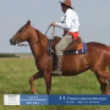 Imagen lote