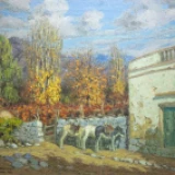 Imagen lote