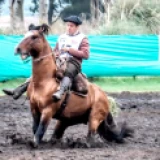 Imagen lote