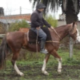 Imagen lote