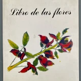 Imagen lote