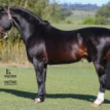Imagen lote