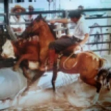Imagen lote