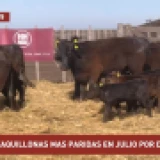 Imagen lote