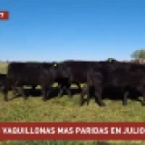 Imagen lote