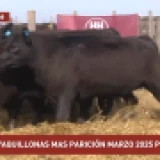 Imagen lote