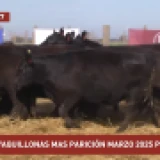 Imagen lote