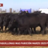 Imagen lote