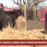 Imagen lote