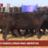 Imagen lote