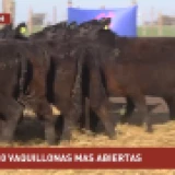 Imagen lote