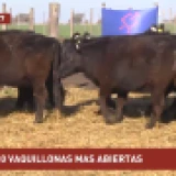 Imagen lote