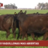 Imagen lote