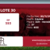 Imagen lote