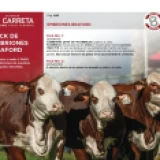 Imagen lote