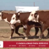 Imagen lote