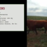 Imagen lote