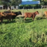 Imagen lote