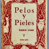 Imagen lote